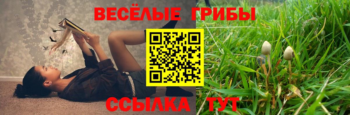 Псилоцибиновые грибы Cubensis  Вход с VPN  Малоярославец 